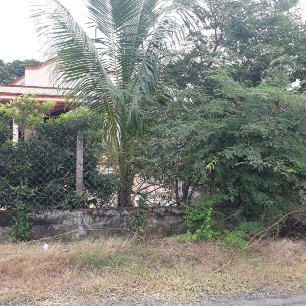 Bán đất xã Đức Lập Thượng , Đức Hoà ,LongAn