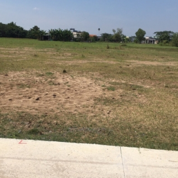Bán 1000 m Đất ở đường nhựa ,Mỹ Hạnh, Long An