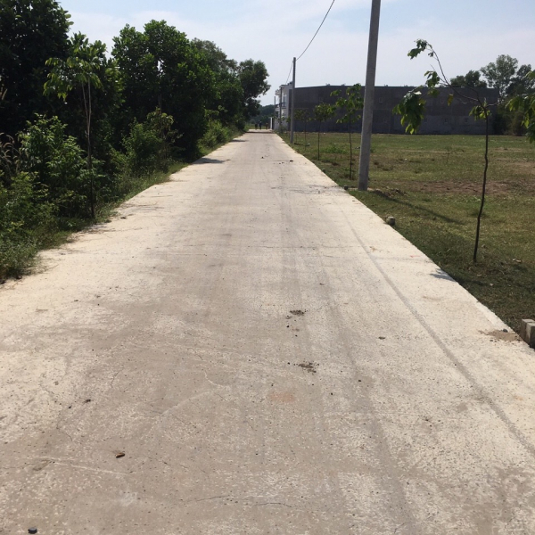 Bán 1000 m Đất ở đường nhựa ,Mỹ Hạnh, Long An