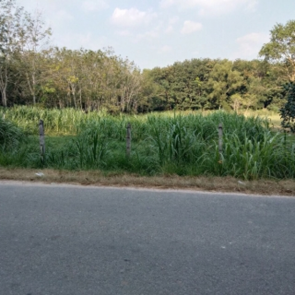 Bán 3600 m ( 58 x 60 m) Xã An Nhơn Tây Củ Chi 