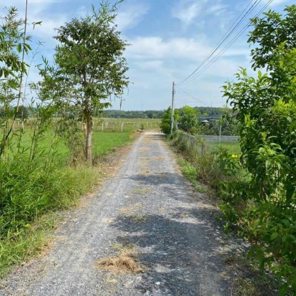 Bán nhà vườn 677  m2 Nhuận Đức Củ Chi