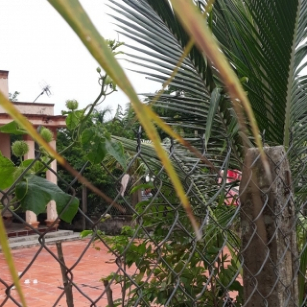 Bán đất xã Đức Lập Thượng , Đức Hoà ,LongAn