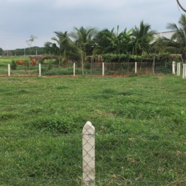 Bán  566 m( 15x40 m)  ,Xã Nhuận Đức ,Củ Chi ,Tp.HCM