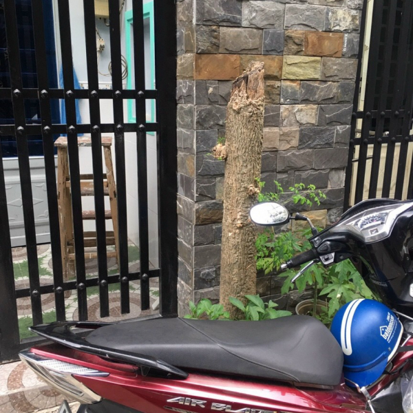 Nhà 48 m2 Thới Hoà , Đường Số 7 ,Vĩnh Lộc A ,Bình Chánh