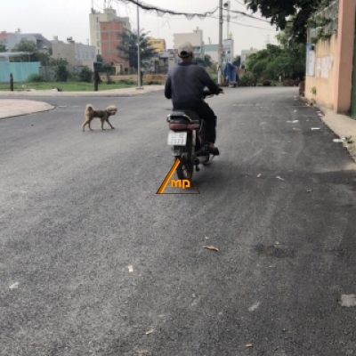 Bán đất ở đường Lê Trọng Tấn, P. Bình Hưng Hoà, Bình Tân.